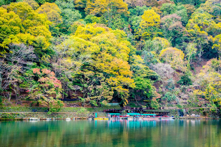 日本京都，秋天，美丽的阿拉山河，枫叶树和船绕湖而行