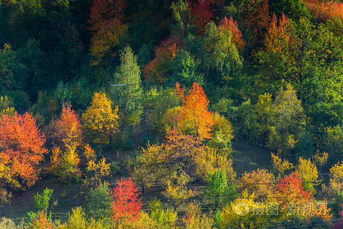 秋天的丘陵和田野有五颜六色的树木