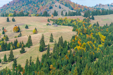 秋天的丘陵和田野，有五颜六色的树木