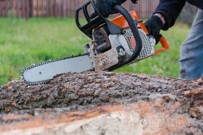 看到一棵树汽油锯那个人看到了一棵树有锯子的森林人