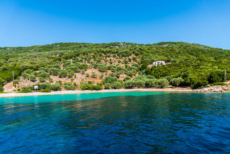 地中海海岸有绿色的树木和灌木丛希腊。