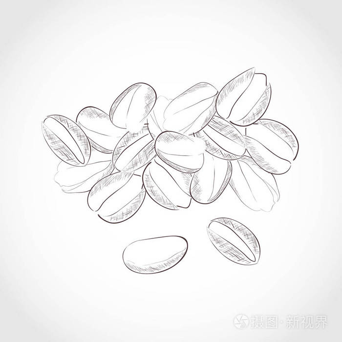 开心 果.组.黑白图像.干果.素描插画-正版商用图片15q4c9-摄图新视界