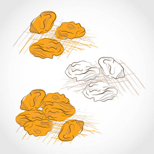 葡萄干.颜色图案和黑白.素描.设置插画