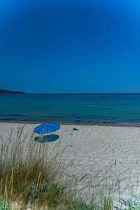 在沙滩上生长的草地沙滩上的蓝色海水伞