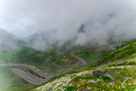 特拉法加拉山高速公路，绿草成荫