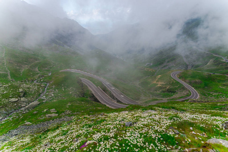 特拉法加拉山高速公路，绿草成荫