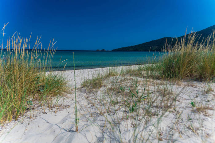 沙质海岸线海滩和蓝色海水生长的草植物