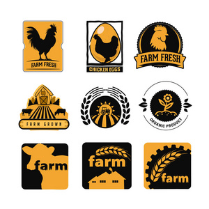 一套老式和现代农场标志标签与鸡, 鸡蛋和奶牛