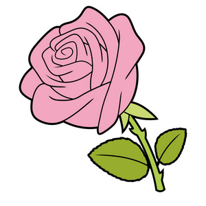 白色背景上分离的粉红色玫瑰的插图