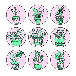盆栽植物的明亮矢量图标集。 绿色的花和盆，粉红色的包，用于网页设计