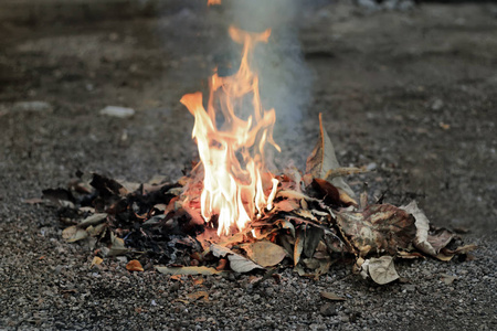 垃圾堆里的干叶被火和烟雾燃烧。