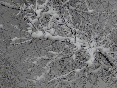 雪落在街道上，白色背景