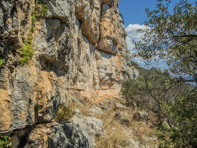 克罗地亚帕斯曼岛山丘自然攀爬墙的特写。