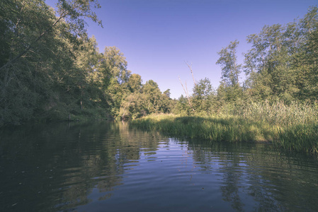 平静的河流中的水在夏日的森林中被包围