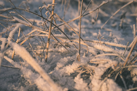 冬季冰雪覆盖草的背景