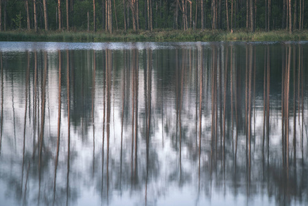 日落时平静湖水中树木的倒影