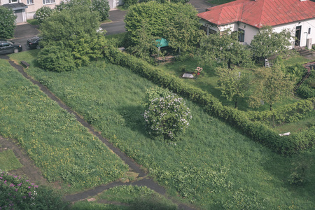 绿色夏日花园和乡村住宅图片