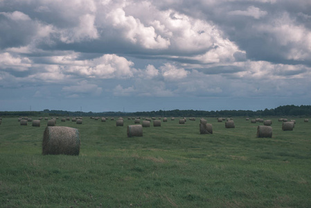 在拉脱维亚农村多云的天空下，绿色田野里的一卷干草