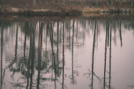 森林中平静湖水中树木的倒影图片