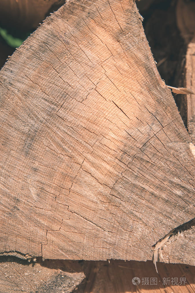 干木表面的纹理