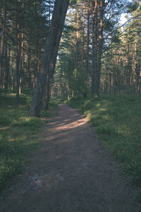 绿色夏林旅游登山步道