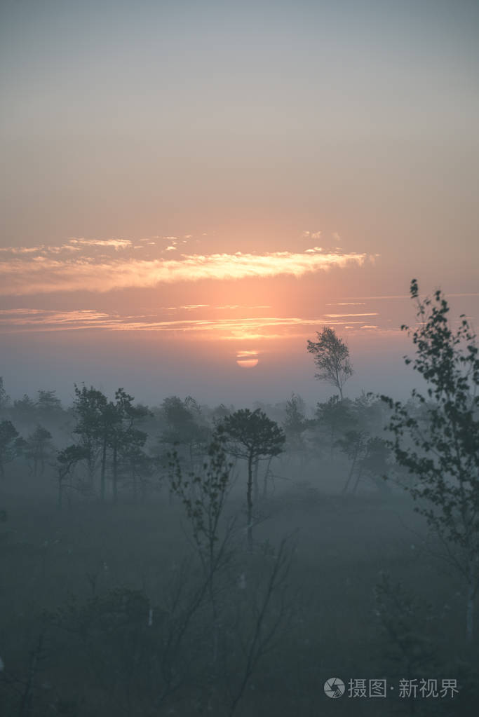 雾蒙蒙的沼泽地区明亮的日出