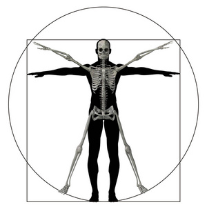 维特鲁维人或人作为概念隐喻概念三维比例解剖身体孤立在背景上