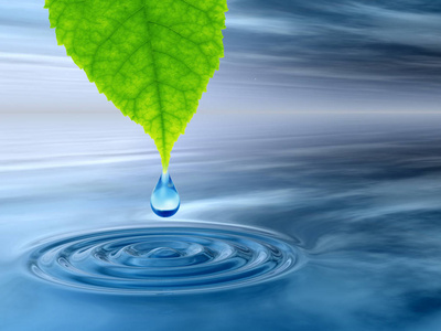 新鲜的泉水图片