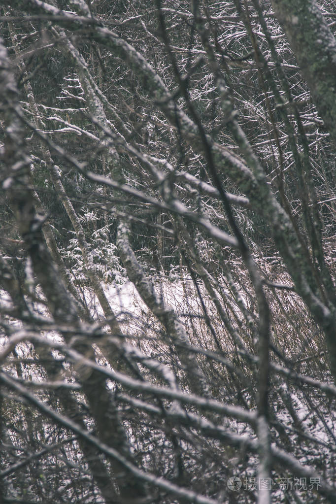 冬季冰雪覆盖枝条的背景