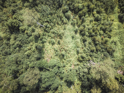 空中无人机照片乡村森林俯视图在阳光明媚的夏日背景材料，复古外观编辑