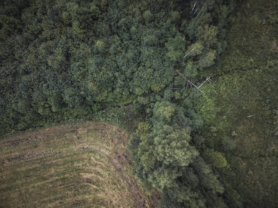 空中无人机照片乡村森林俯视图在阳光明媚的夏日背景材料，复古外观编辑