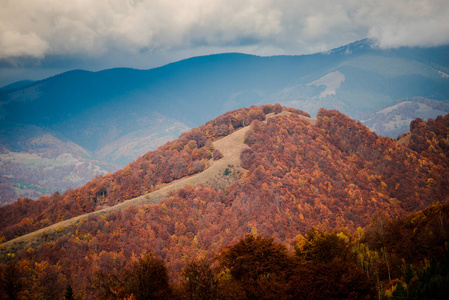 具有秋林自然背景的令人惊叹的山景。