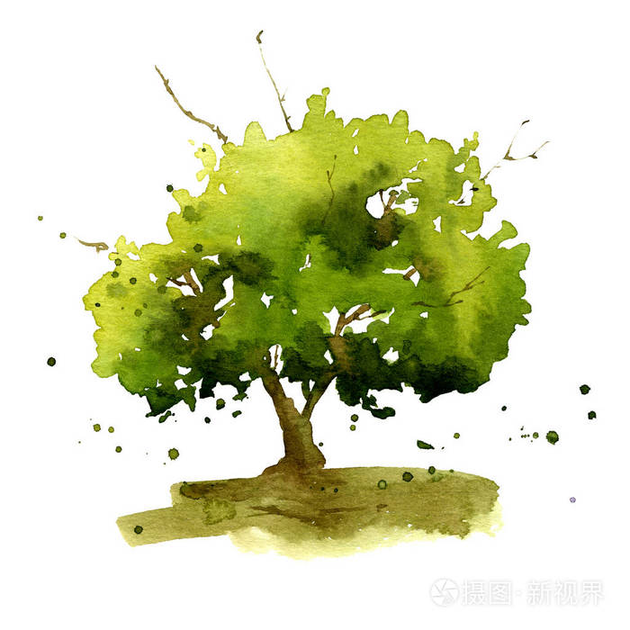 一幅用水彩画在白色背景上的亮绿色树手的图画