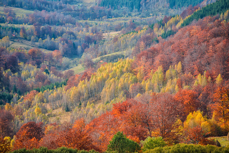 具有秋林自然背景的令人惊叹的山景。