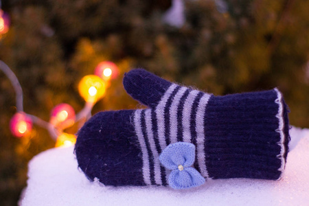 美丽的冬季手套和圣诞花环冬季手套