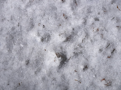 融化的雪背景关闭