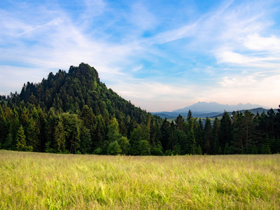 拉伯兹提恩山和高塔特拉在背景。夏天的皮尼尼山。