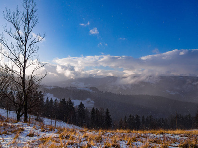 冬天的雪落在贝斯基兹山脉波兰。 靠近Pwinicznazdroj。