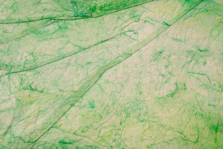 绿色折痕纸组织纹理背景