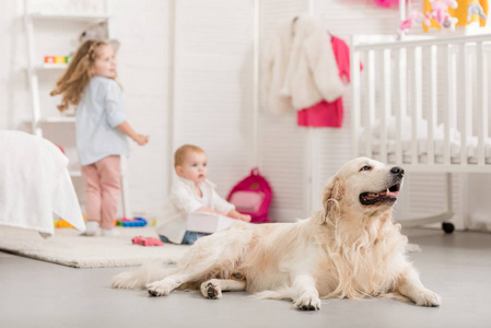 可爱的姐妹在儿童房附近玩地板可爱的金毛猎犬