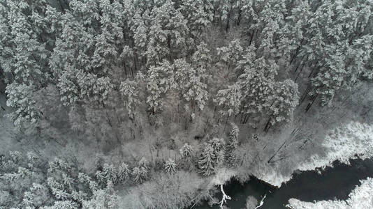 冬季早晨雪覆盖森林中河流的鸟瞰图