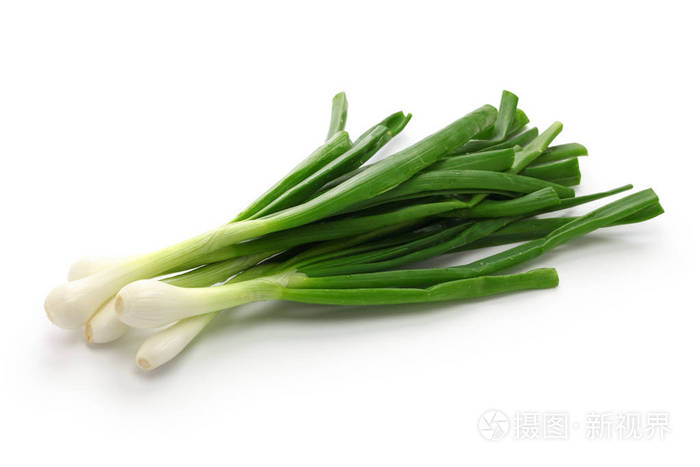 葱葱葱圆大圆的鳞茎