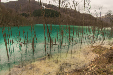 春天山上的洪水