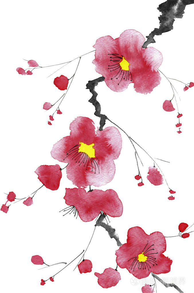 一棵开花的树的树枝. 粉红色和红色的风格花梅野生杏和樱花.