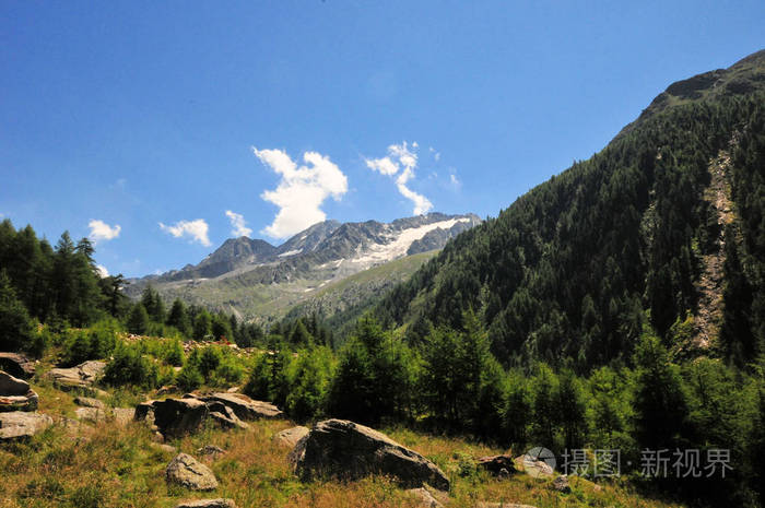 以图搜图id:15rvy6授权范围商业用途,可用于营利性的商业,广告目的