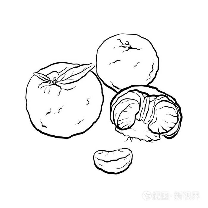 菜单卡和您的创造力的向量元素.插画-正版商用图片15s04l-摄图新视界