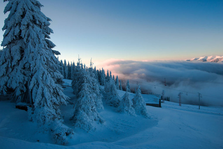 傍晚夕阳西下，冬雪覆盖山景，有针叶树