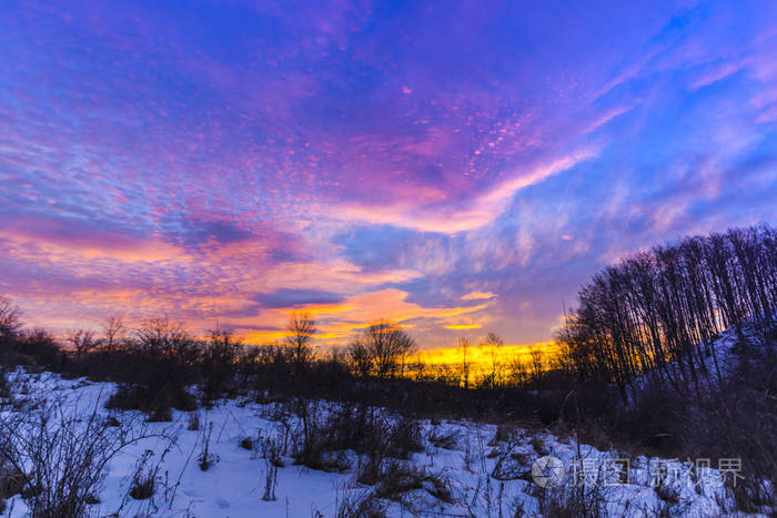 在冬天的森林里天空中闪烁着绚丽多彩的晚霞