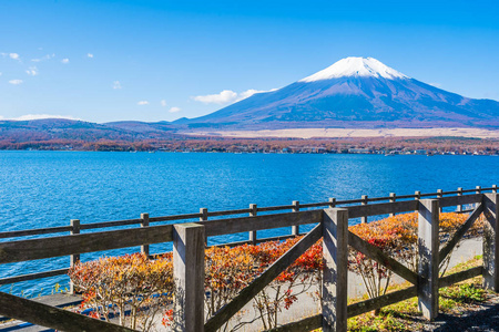 日本雅明子湖周围富士山的美丽景观