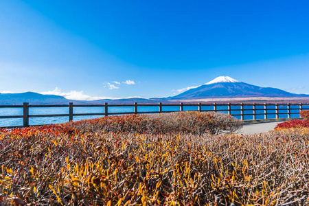 日本雅明子湖周围富士山的美丽景观